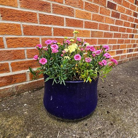 Beckside - Dog Friendly One Bed Home York Eksteriør billede